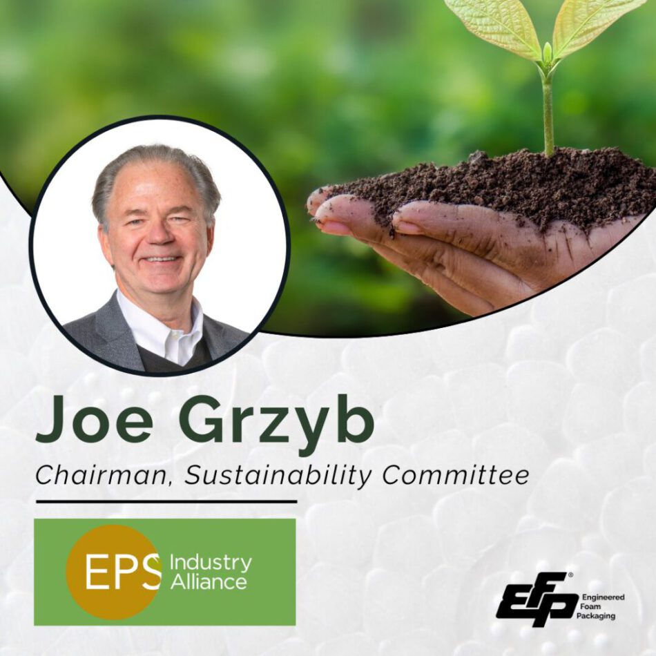 Sustainability Chairman